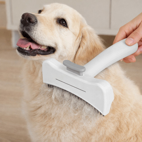 Dog cat steel detangling - dog,