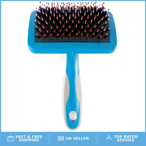 Professional dog grooming - dog,