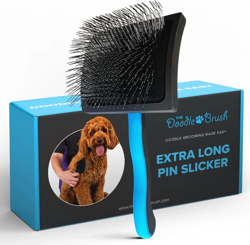 The doodle brush slicker dog - the,