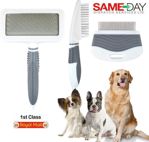 New pet grooming - pet,