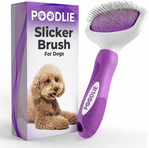 Poodle pet slicker brush - poodle,
