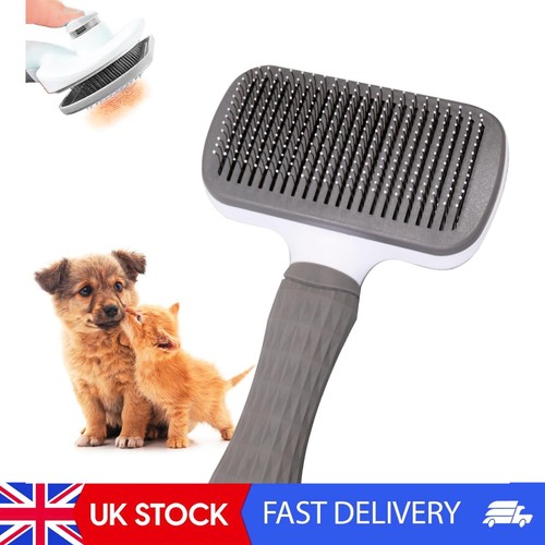 Cat brush dog - cat, brush,