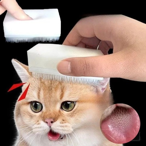Pet grooming massage - pet,