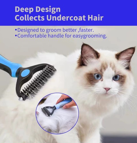 Pet cat dog - dog, hair