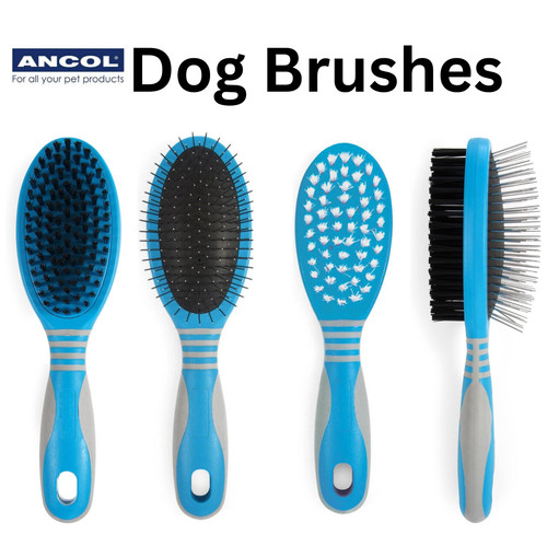 Ancol ergo dog - ancol, &