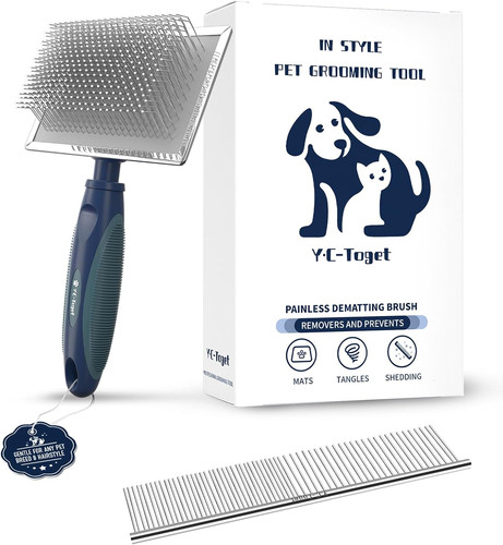 Gentle slicker dog - slicker, with